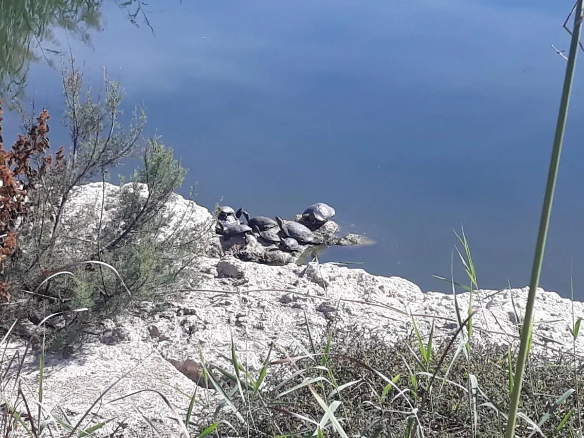 Appartamento Casa Che Playa & Montana Manilva
